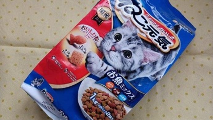 2024年の猫news③ カリカリ300円台ノーリターン?