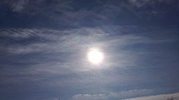 空にしようか、鳥にしようか。やっぱり鳥か。