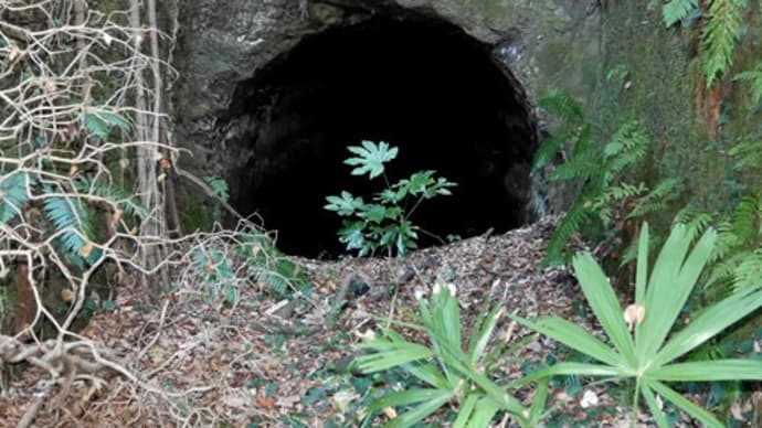 特攻戦隊地下壕