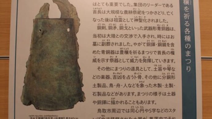 鳥取市歴史博物館(3)