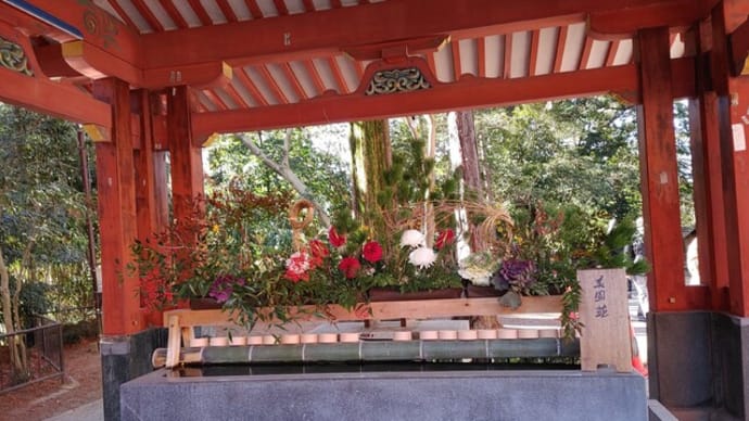 新春の氷川神社とご利益