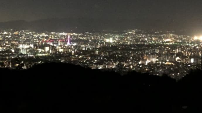 伴侶と京都の夜景を見に行く