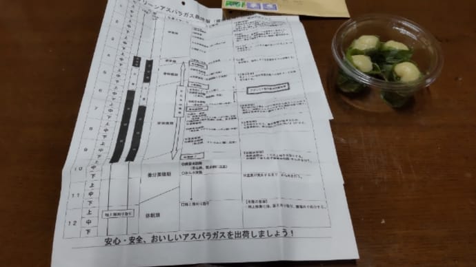 我が家の朝の風景と、今日届いたものは・・