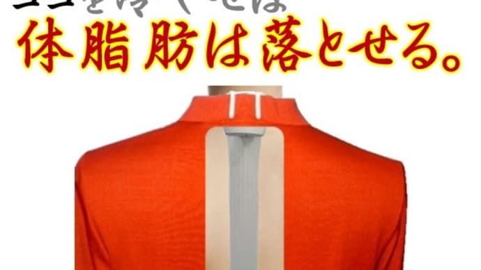 痩せたい人はココを冷やせ!体脂肪は落とせる。あなたの細胞で!