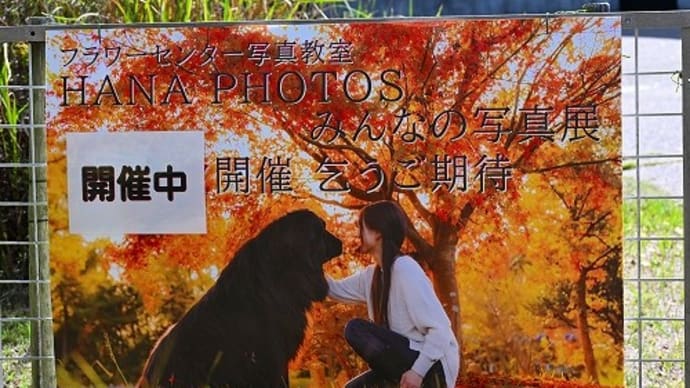 みんなの写真展 フラワーセンター