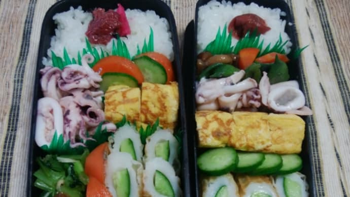今日の弁当