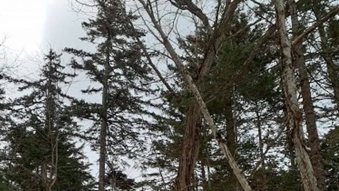 どうせガリガリなら、いつもガリガリのところへ