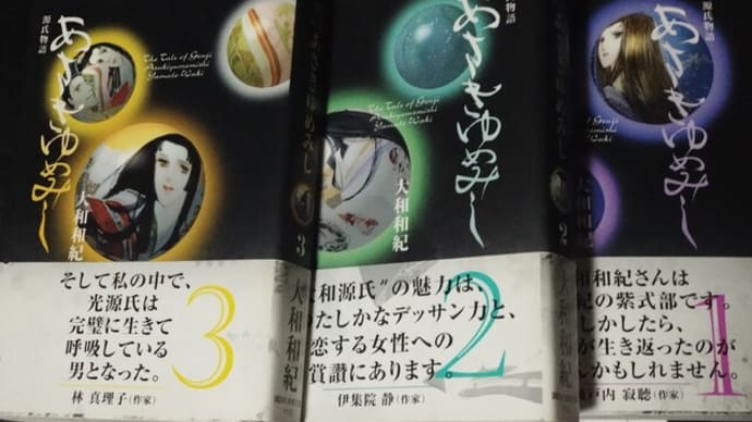 『あさきゆめみし』を再読