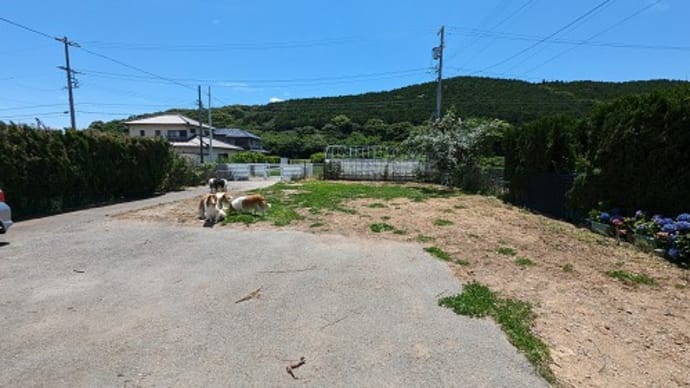 やっと、アフター