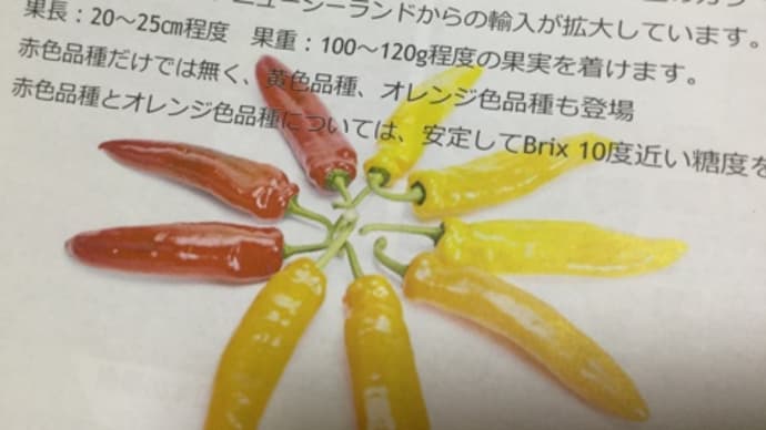 JA産直から売上報告★種一袋だって!(◎_◎;)hanacafe流エコ農法の相棒も入庫したが…