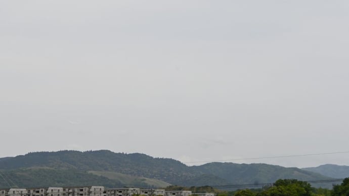 こどもの日はのんびりと