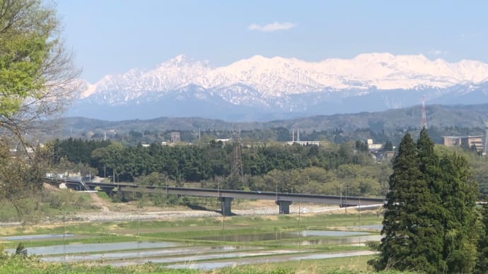 博物館もいろいろで!