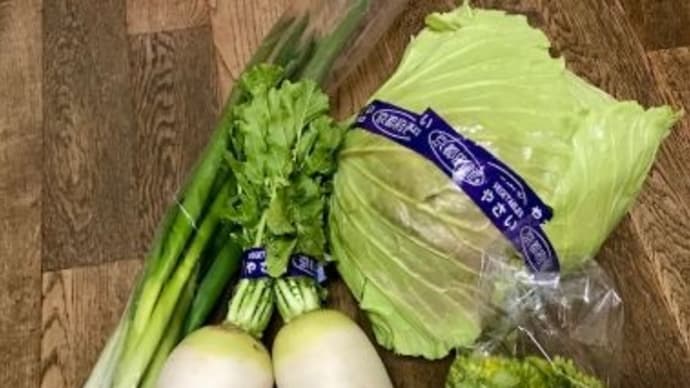 だん農園さんと造園業Sさんの野菜