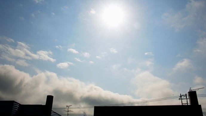 2025/04/07(月)曇り、雨上がりの朝をむかえて☆