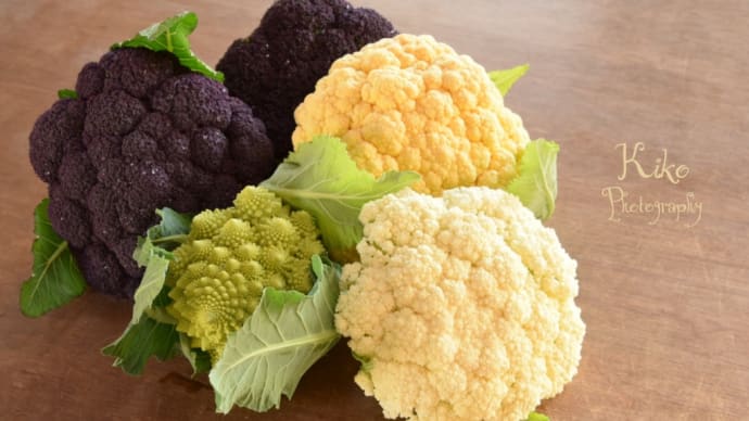 *.❅*॰ॱ秋冬野菜から春野菜の準備へ…✿*: