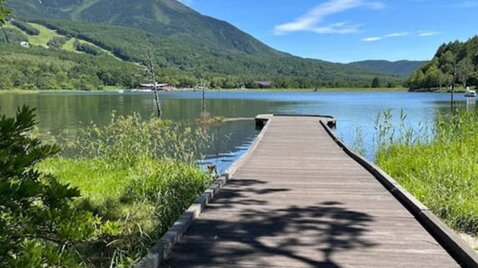 ひかり燦燦・碧きらめいて・・・信州夏旅2024<1>