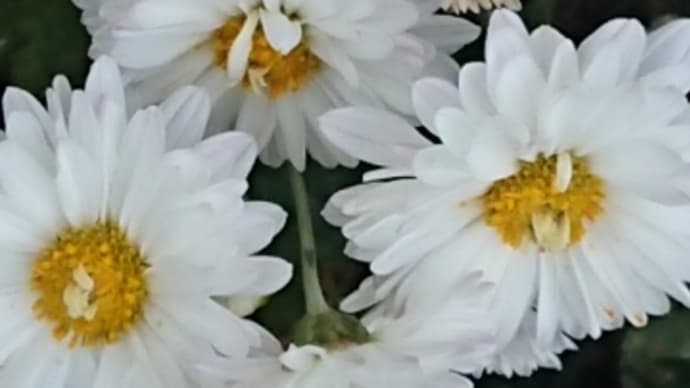 起きられなかった。。