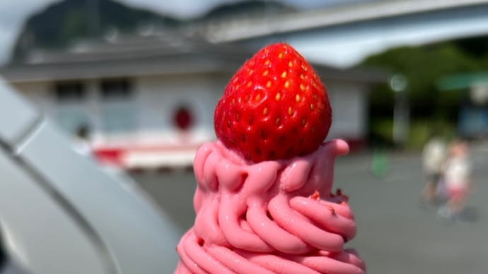 道の駅伊豆のへそ➰🍓いちごがいっぱい➰🍓