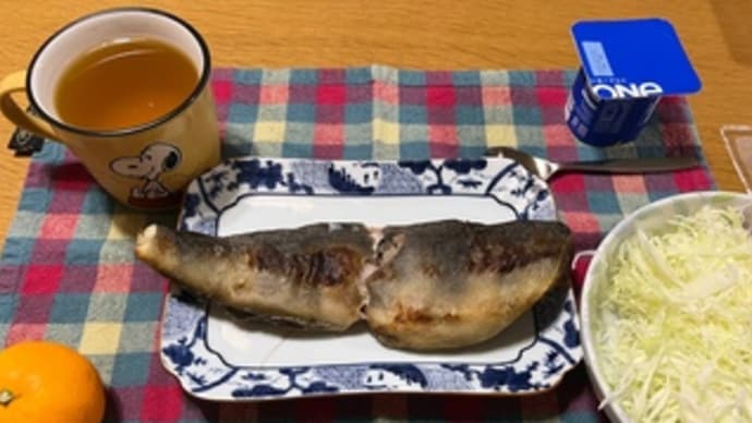 今日の晩御飯