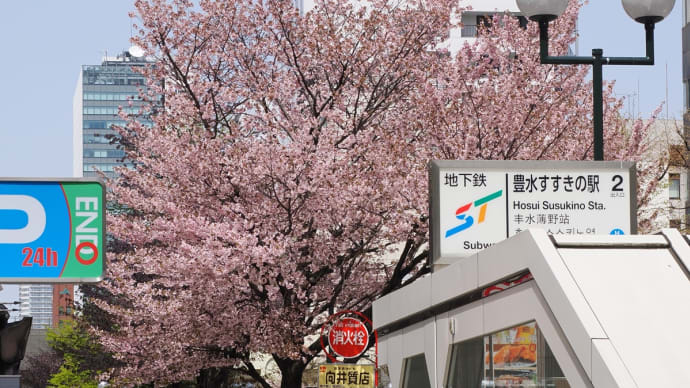一周忌札幌帰省旅、の18