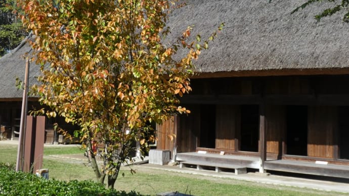 日本民家集落博物館 (4)