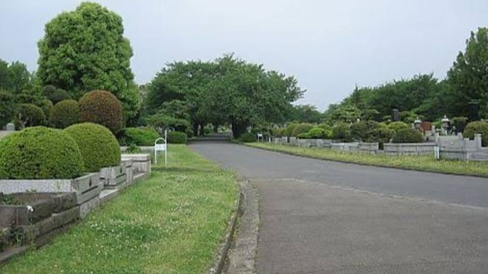 風の強い日