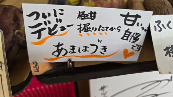 【予告】TBS 「The Time 」に出ます