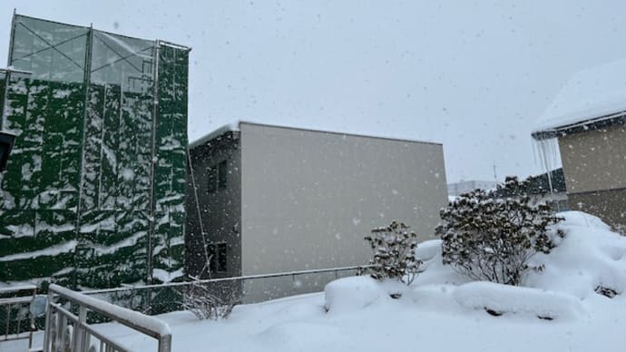この雪の中、お隣りの解体工事は進む