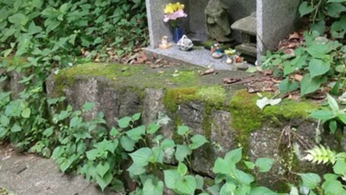 数独1冊、完了☆ ヤッタネ ♪