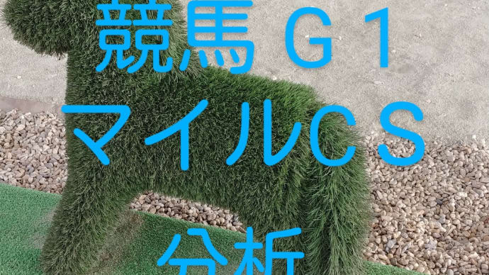自分なりの分析 競馬G1 マイルチャンピオンシップ