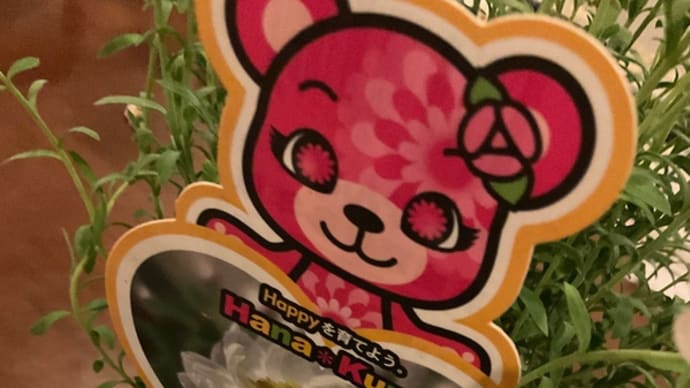ハナカンザシ