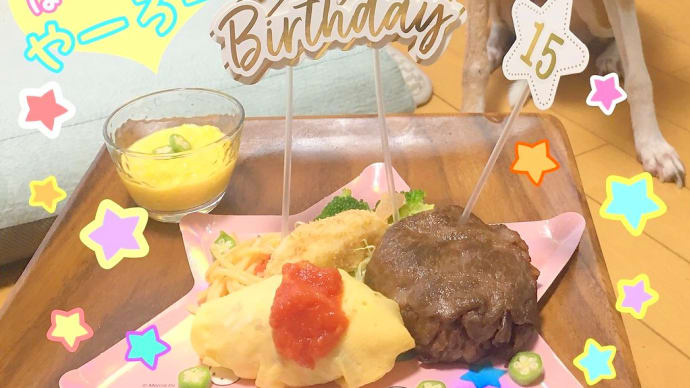 めでためでたや15歳!!