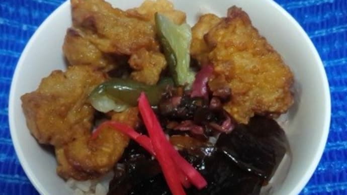 【06/27晩御飯】桜島鶏もも唐揚げ、これで食べ切ったんだね:D