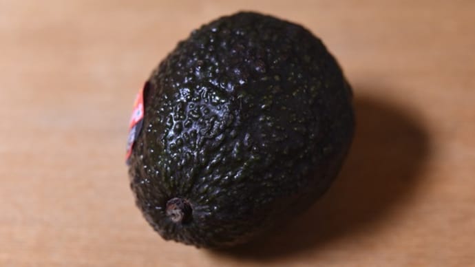 今日はほとんどなにもせず