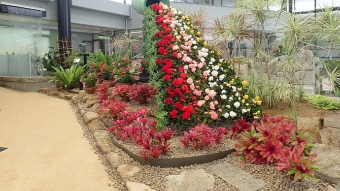 鮮やかなお花のトピアリー