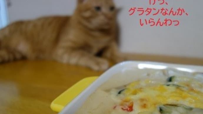 にゃんことグラタン