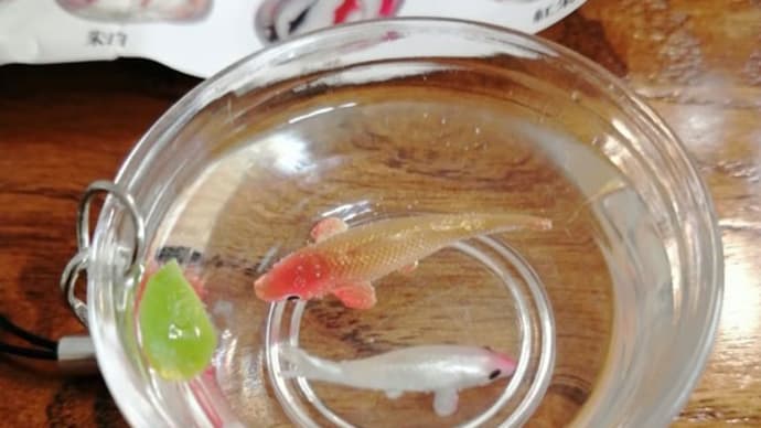 涼し気ながちゃがちゃ