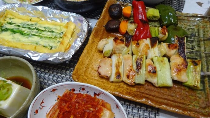串焼きでおうち居酒屋と蚊のカノン🎵 地震にビックリ!