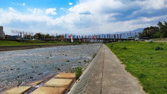 2023 須坂市の百々川の鯉のぼり &眠り猫