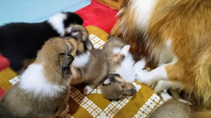 至福のとき