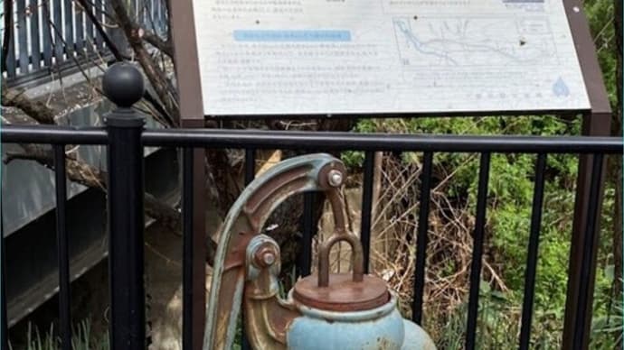 玉川上水沿い