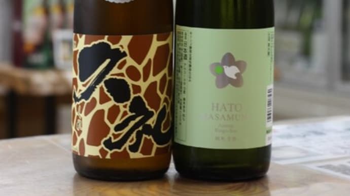 鳩正宗 純米 リンゴ酸酵母仕込み 生酒 久礼 特別純米キリン