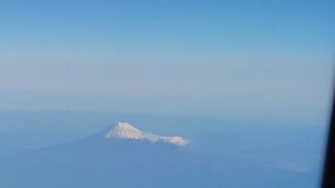 十何年ぶりの飛行機