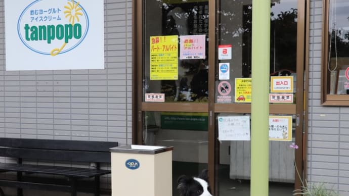 寄り道でぺろっ♪