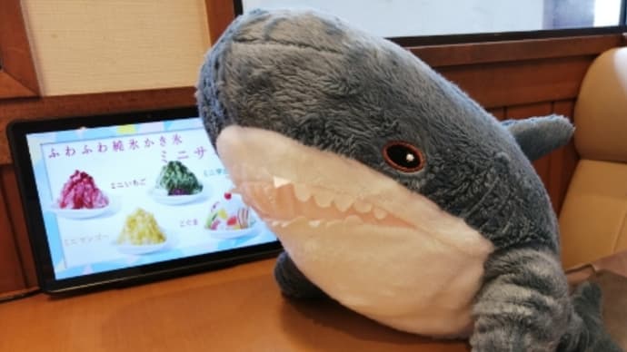 夏はやっぱりスイカ🍉かかき氷🍧だね
