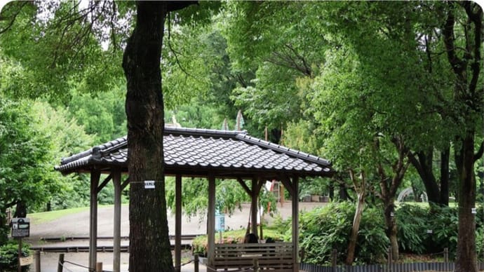 相模原北公園のバラ
