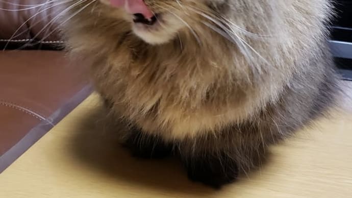 興味があるのは?