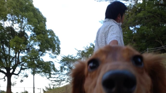 今の俺には。