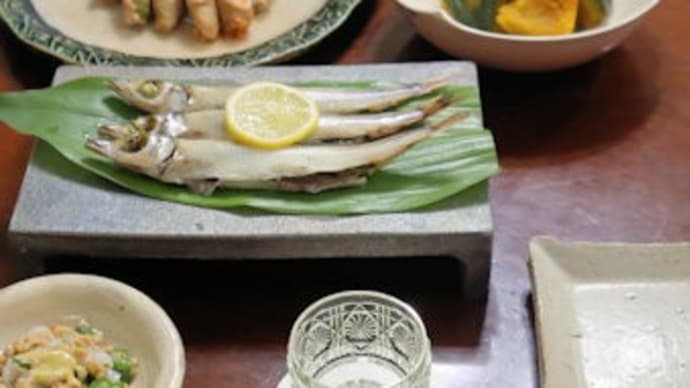 珍しい魚…