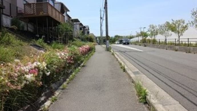 松尾寺周辺を歩いた1